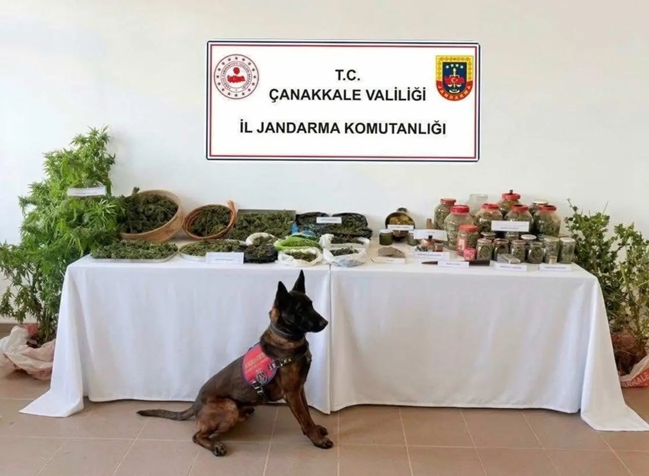 Çanakkale’de tarihi eser kaçakçılığı ve uyuşturucu operasyonuna 1 gözaltı