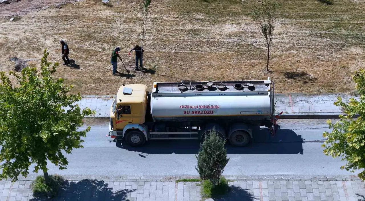 Ömrünü tamamlayan ağaçların yerine yenileri dikiliyor