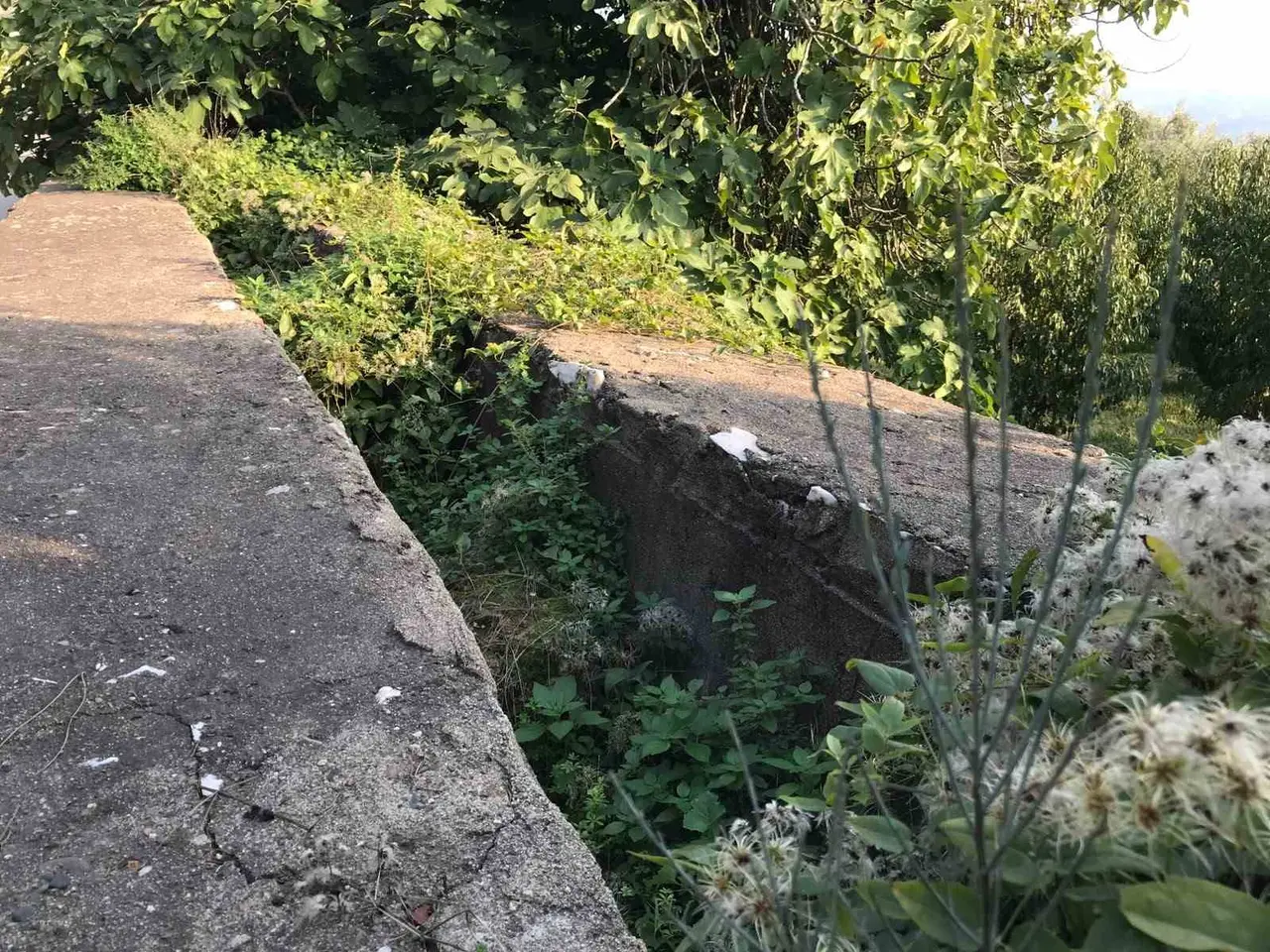İznik’te 2 bin yıllık su kemeri ilgisizlikten çökmeye başladı
