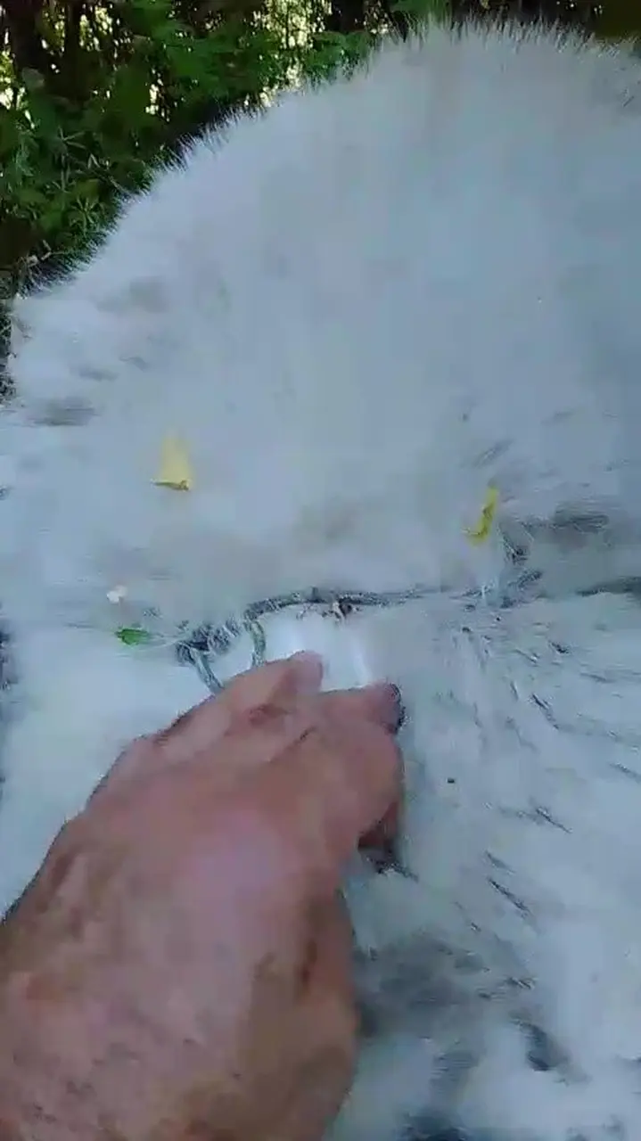 Ormanda tuzağa yakalanan köpeği arama kurtarma ekipleri kurtardı