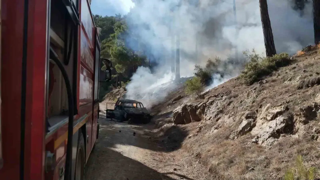 Orman yolunda alev alan otomobil yangına neden oldu