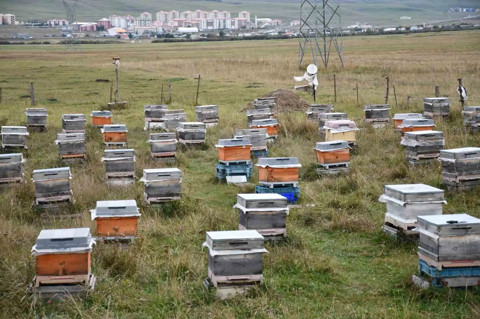 Ardahan’da bal hasadı bitti, 2027 sezonu için kış hazırlıkları başladı