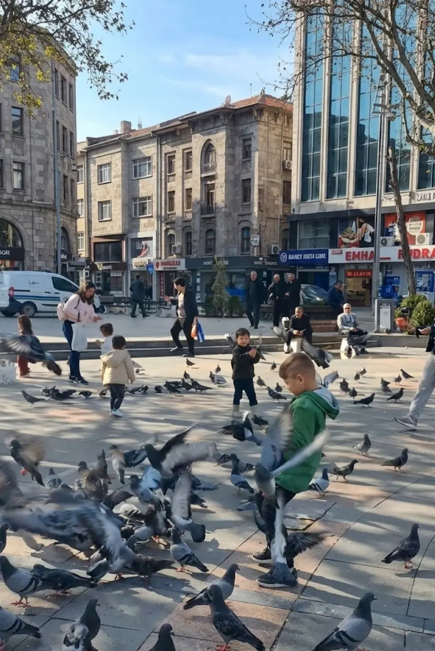 Bir yerde kış bir yerde yaz