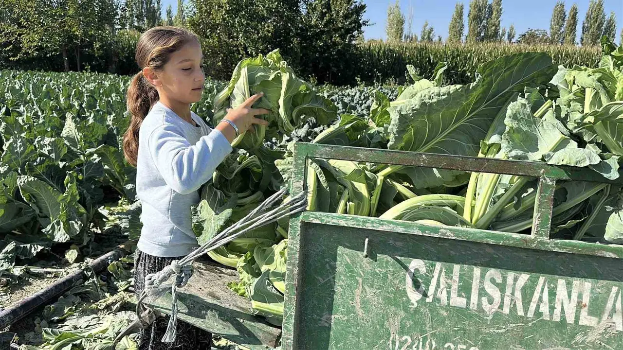 Burdur’da 9 yaşındaki Medine’nin bir eli tarlada, aklı ise geleceğinde