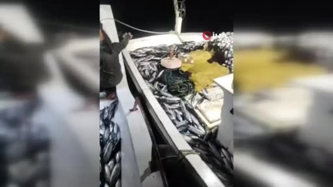 5 bin palamut tekneye sığmadı, yardıma başka tekne geldi