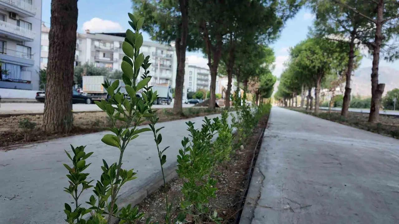 Söke devam eden projelerle yenileniyor