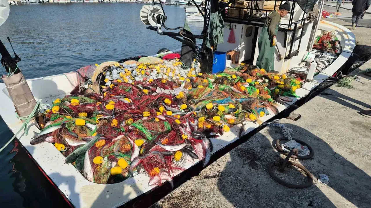 Marmara’da kefal bereketi: Tekne ağzına kadar doldu!