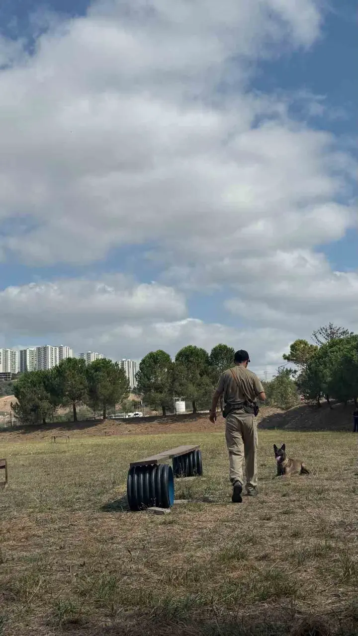 Muğla’nın arama kurtarma köpekleri Tayga ve Foxy görev yeterlilik sınavını geçti