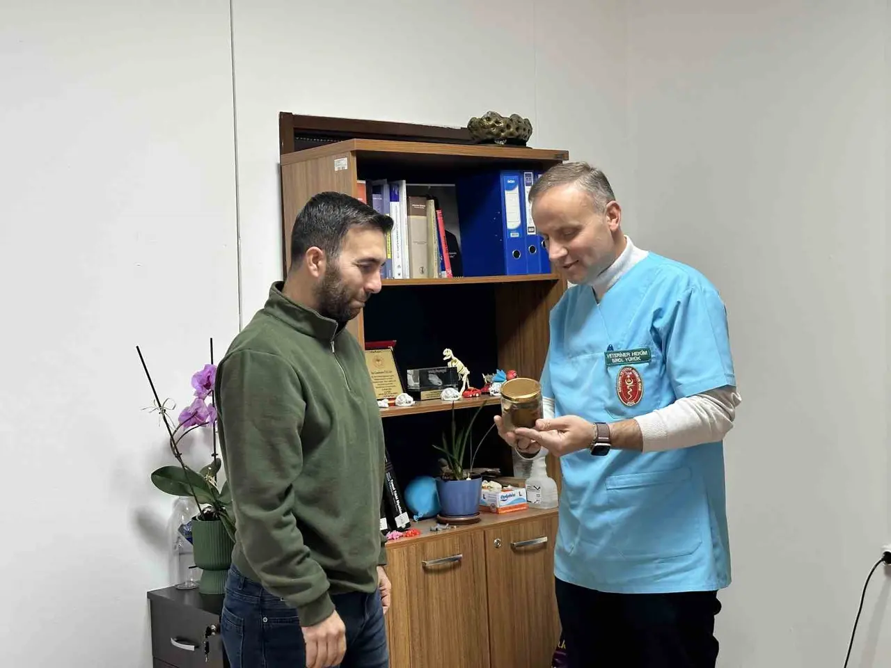 Ölmek üzere olan ineğin boğazından çıkartılan armut, üniversite öğrencilerine anlatılacak