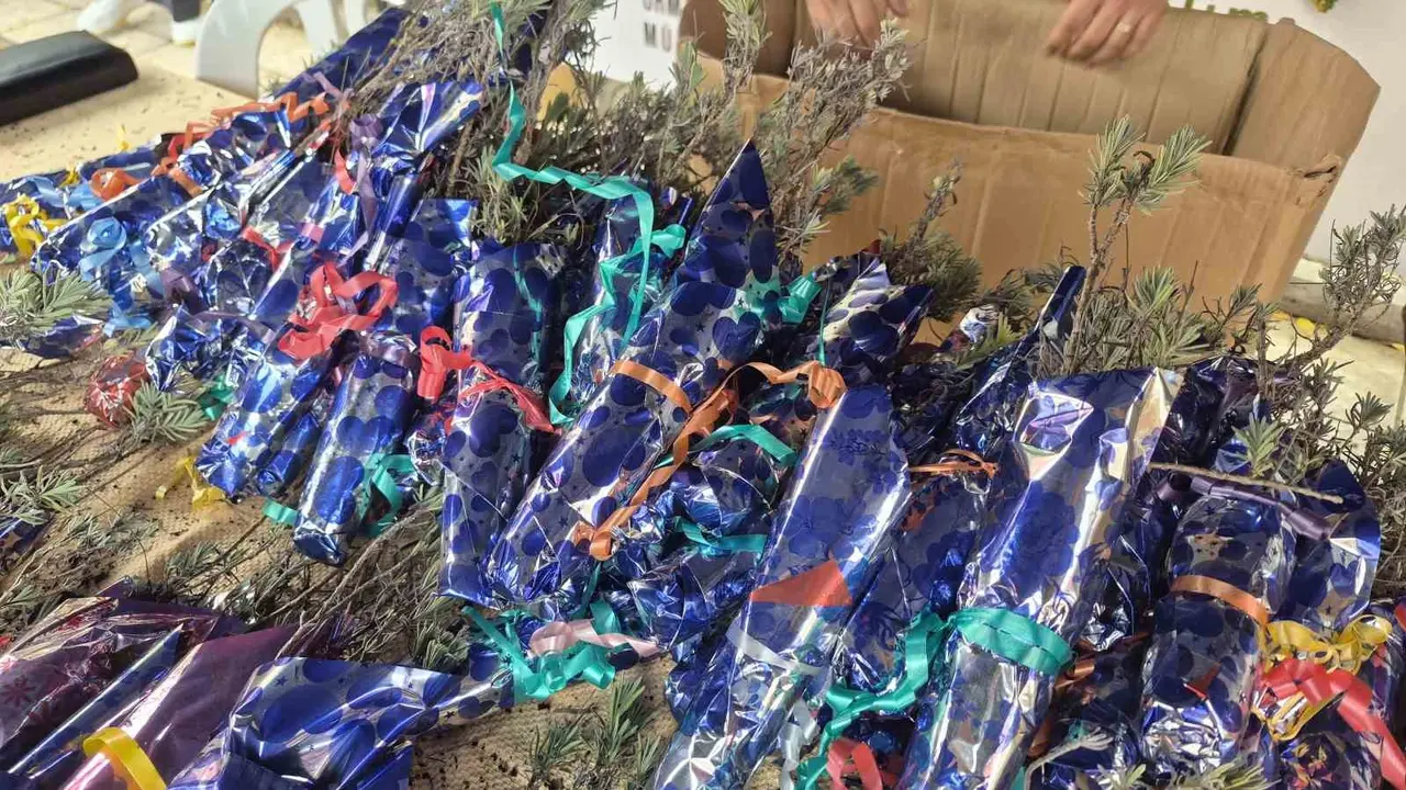 Eskişehir’de Cumhuriyet’in 103’üncü yılına özel bin 103 lavanta fidanı dağıtıldı