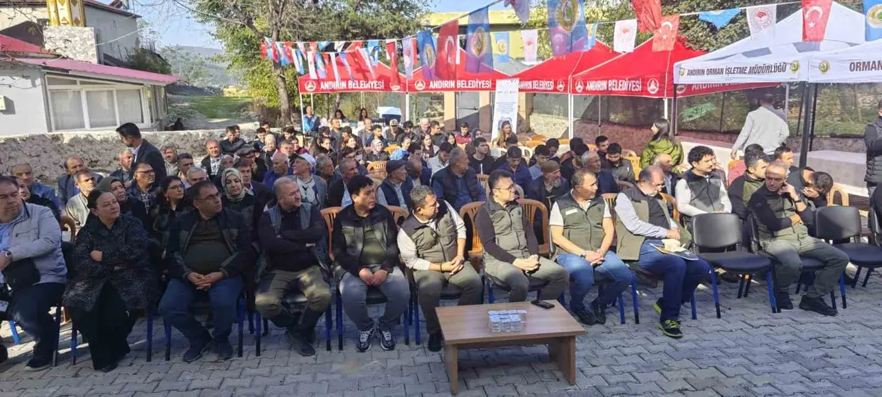 Kilosu 3 liradan toplanıyor, işlenince 10 bin lira oluyor: Andırın’da ’yeşil altın’ defne hamlesi