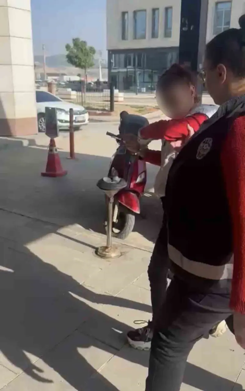 Kediye taşla vuran kadın yakalandı