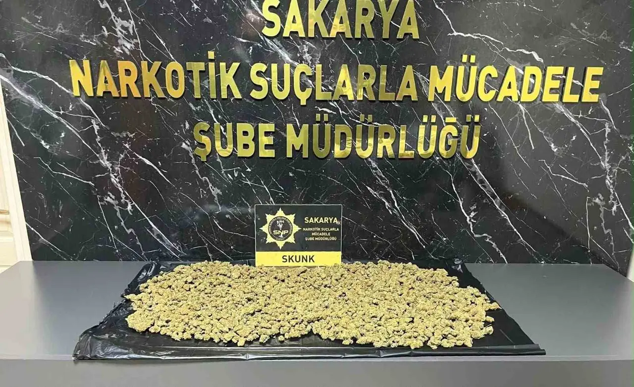 İstanbul’dan Sakarya’ya uyuşturucu sevkiyatı engellendi: 1 gözaltı