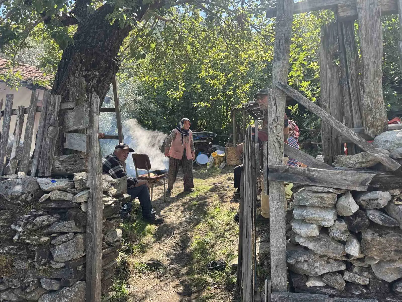 Sırrı meşe külünde saklı