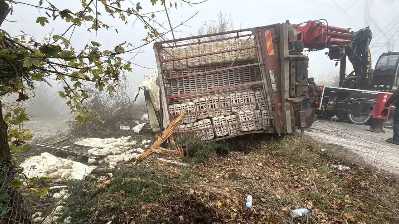 Bolu’da virajı alamayan kamyon devrildi: Onlarca tavuk telef oldu