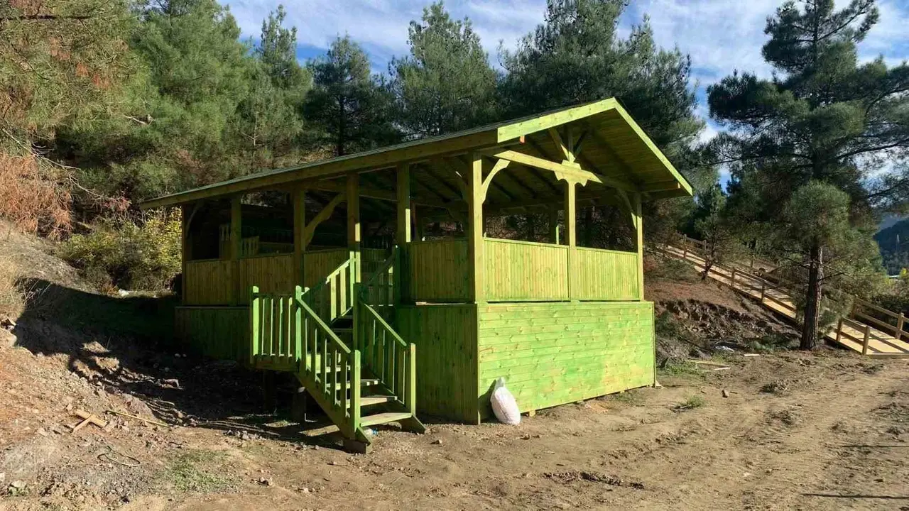 Amasya’ya orman okulu açılıyor