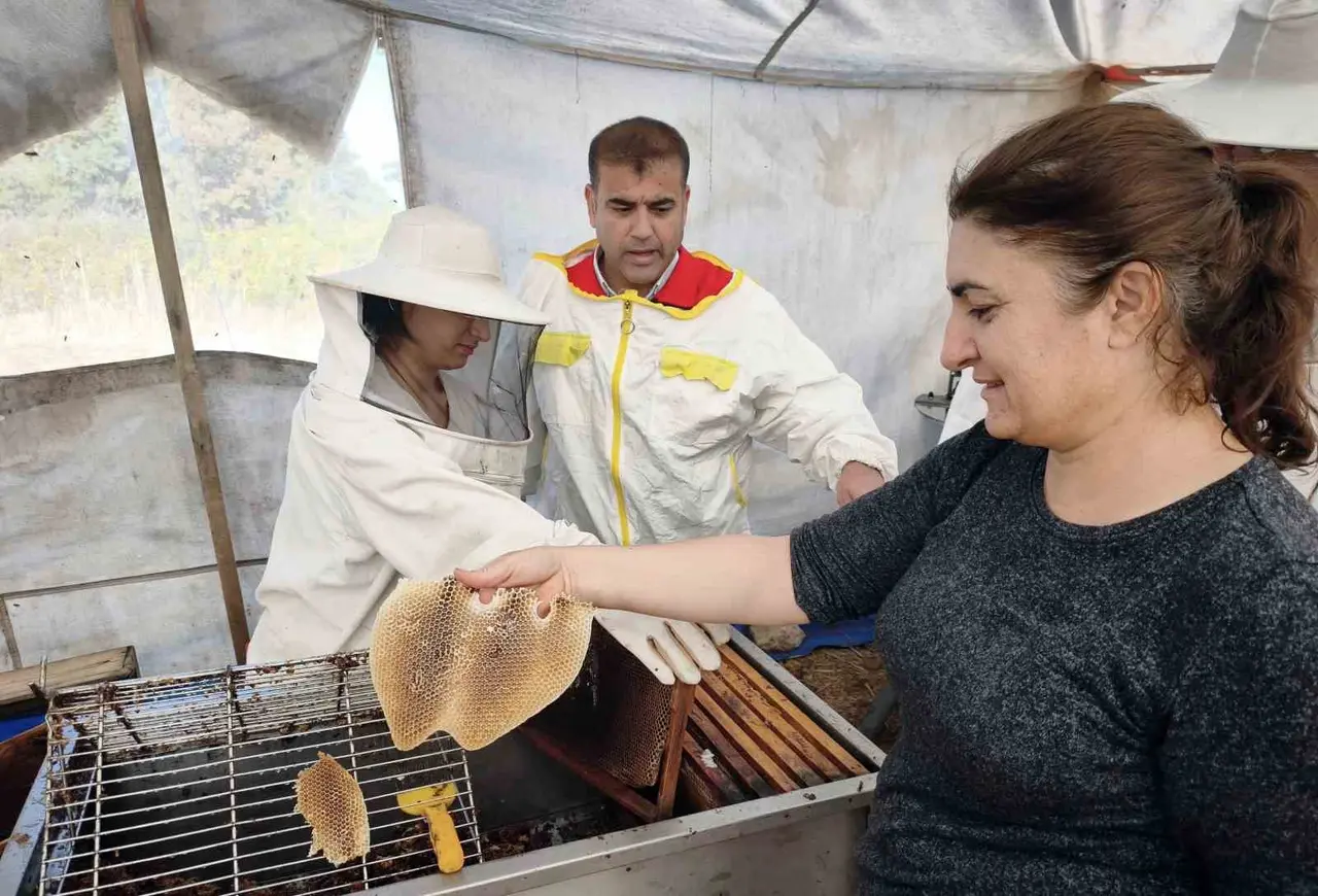 Çam balının başkenti Muğla’da glikozlu bal tepkisi