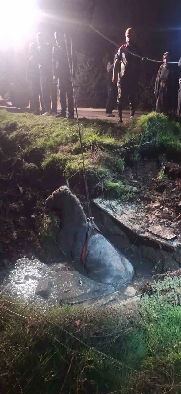 Kanalizasyon kuyusuna düşen at, tedavi edildikten sonra koruma altına alındı