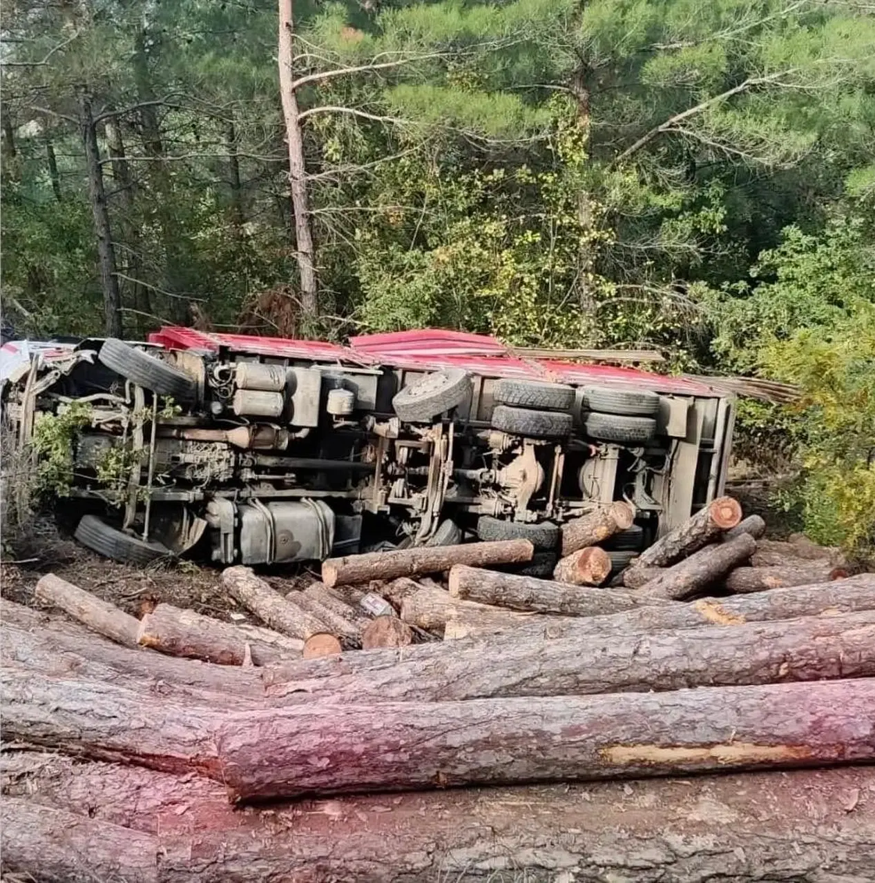 Çanakkale’de yol çöktü, tomruk yüklü kamyon devrildi: 1 ölü, 1 yaralı
