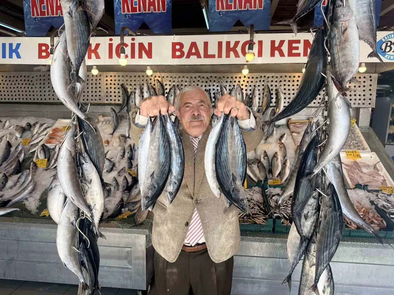 Palamutta bereket, kilosu 100 TLl’ye düştü