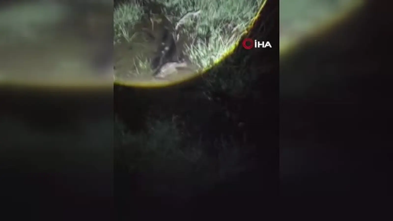 Kütahya’da balık ölümlerine neden olan işletmeye 840 bin TL ceza