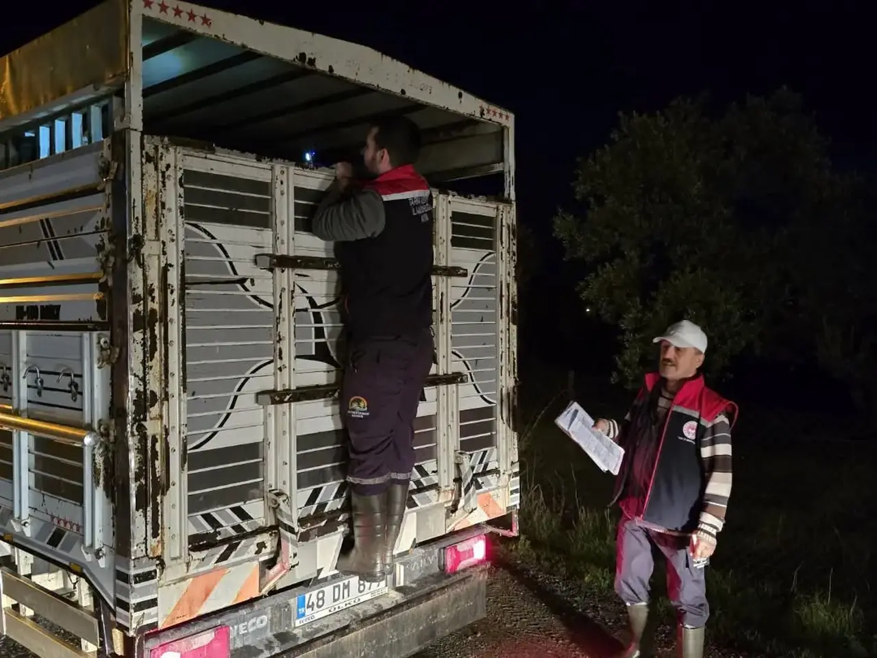 Aydın’da hayvan pazarlarında sıkı denetim