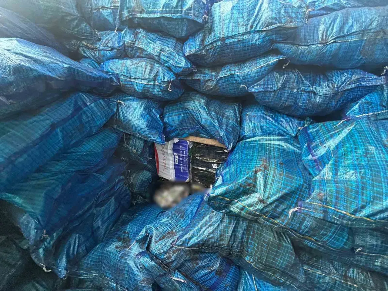 Siirt’te kömür çuvallarının arasına gizlenmiş 10 bin 250 paket kaçak sigara ele geçirildi