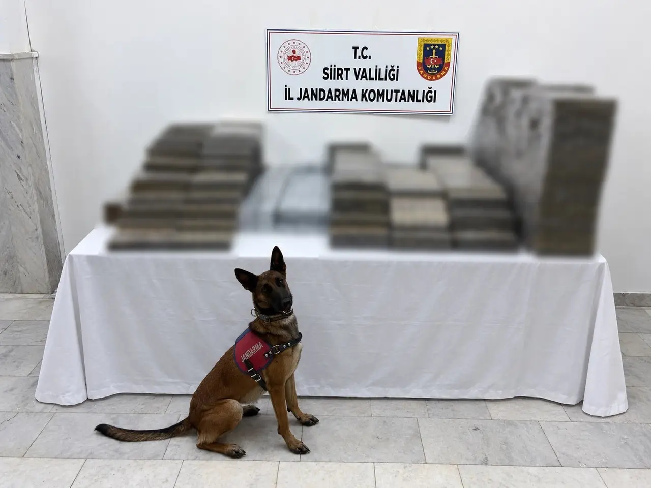 Siirt’te kömür çuvallarının arasına gizlenmiş 10 bin 250 paket kaçak sigara ele geçirildi