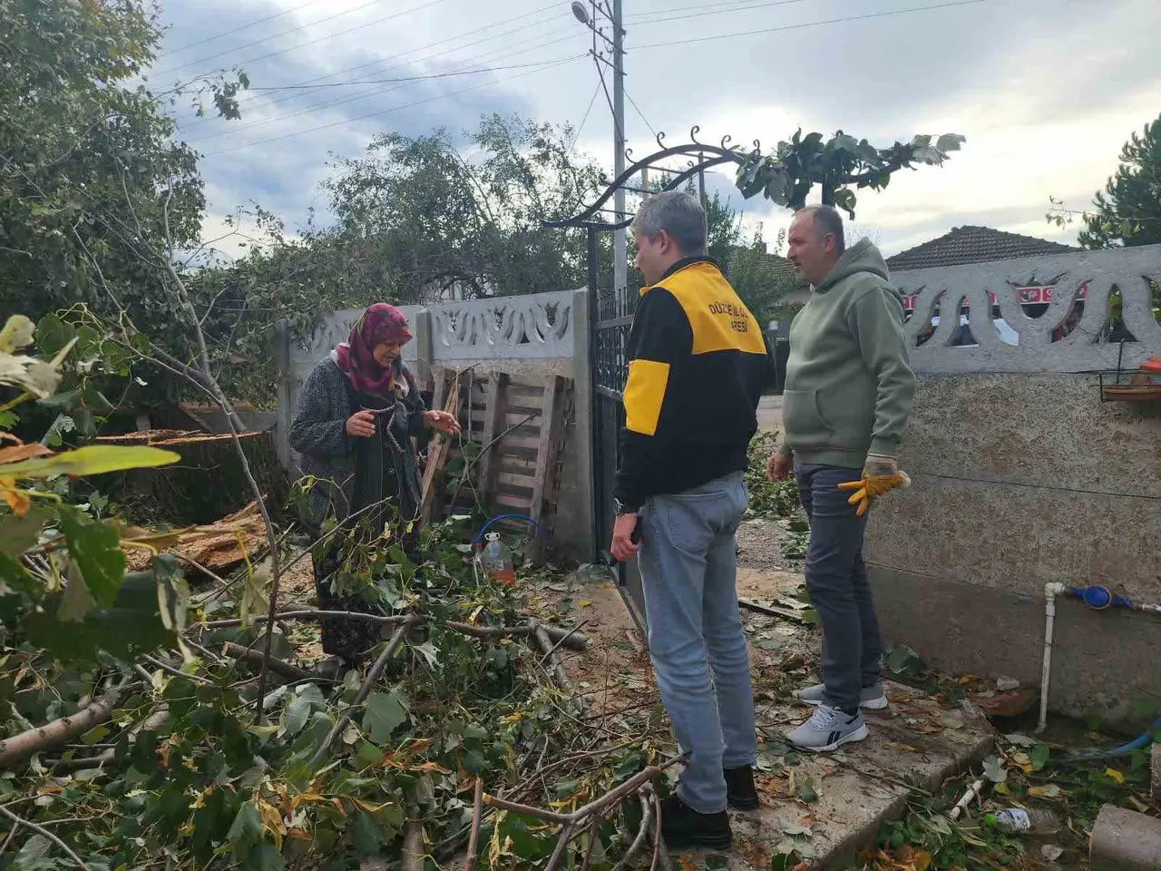 Evin üzerine devrilen ağaç kaldırıldı
