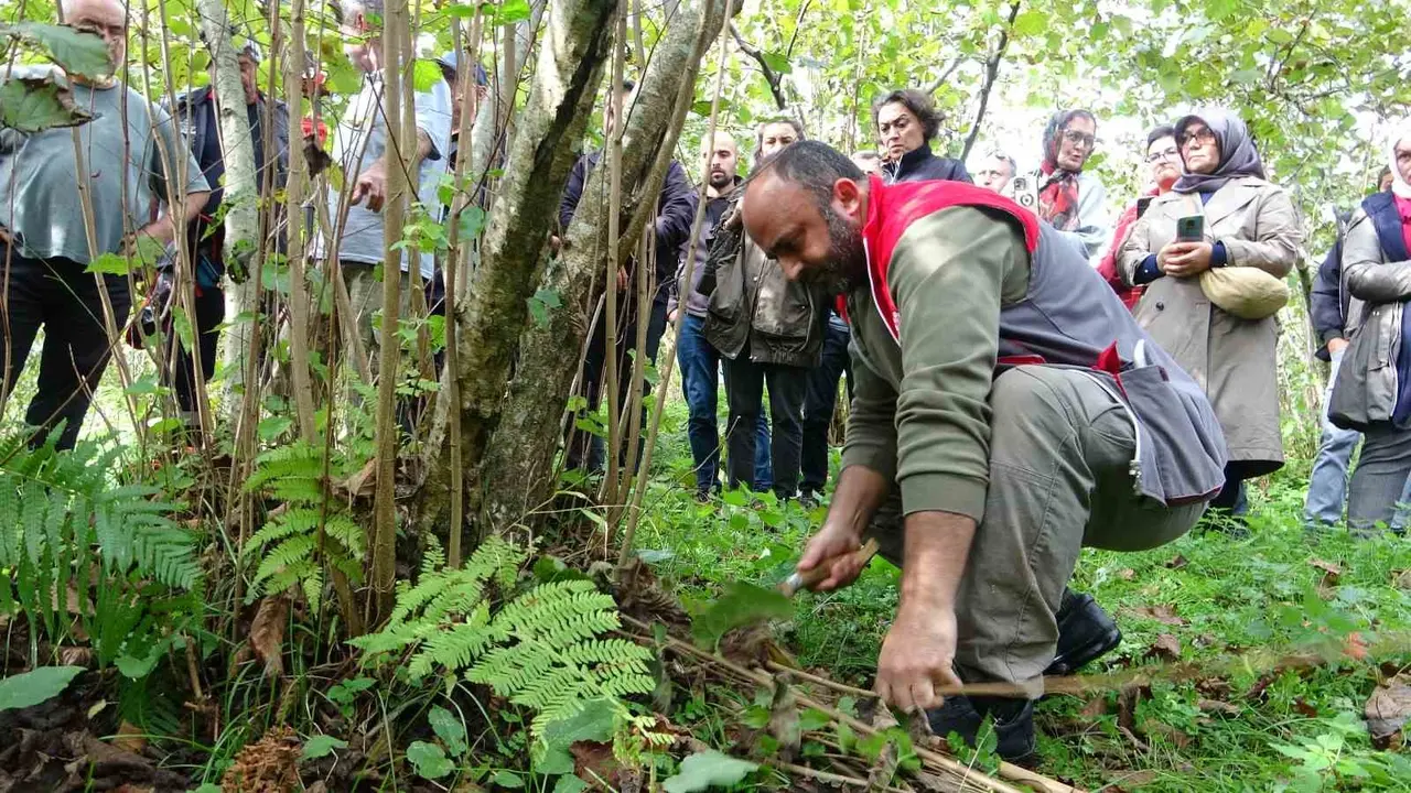 Giresun’da fındıkta verimi artırmak için üreticilere uygulamalı budama eğitimi veriliyor