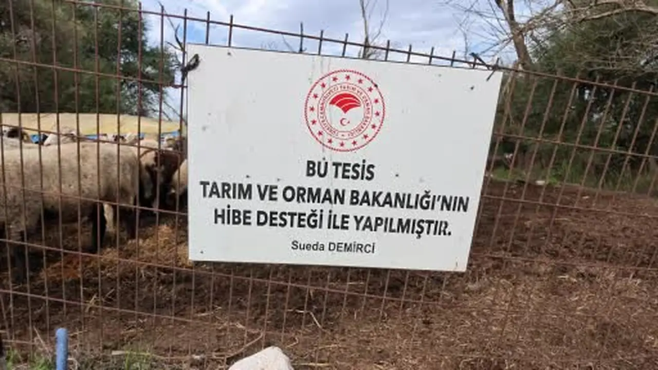Devlet desteğiyle çiftçi olan genç kadın, hayallerine kavuştu