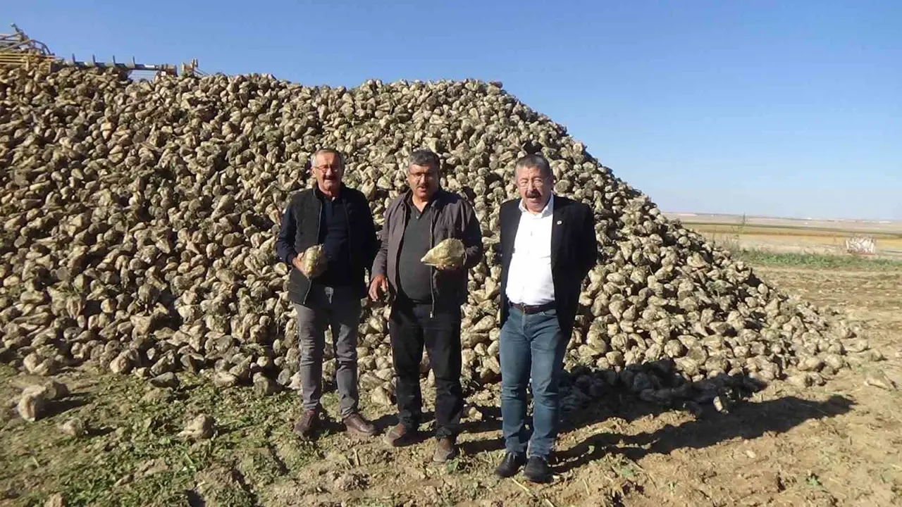 Konya Ovası’nda hasat mesaisi sürüyor