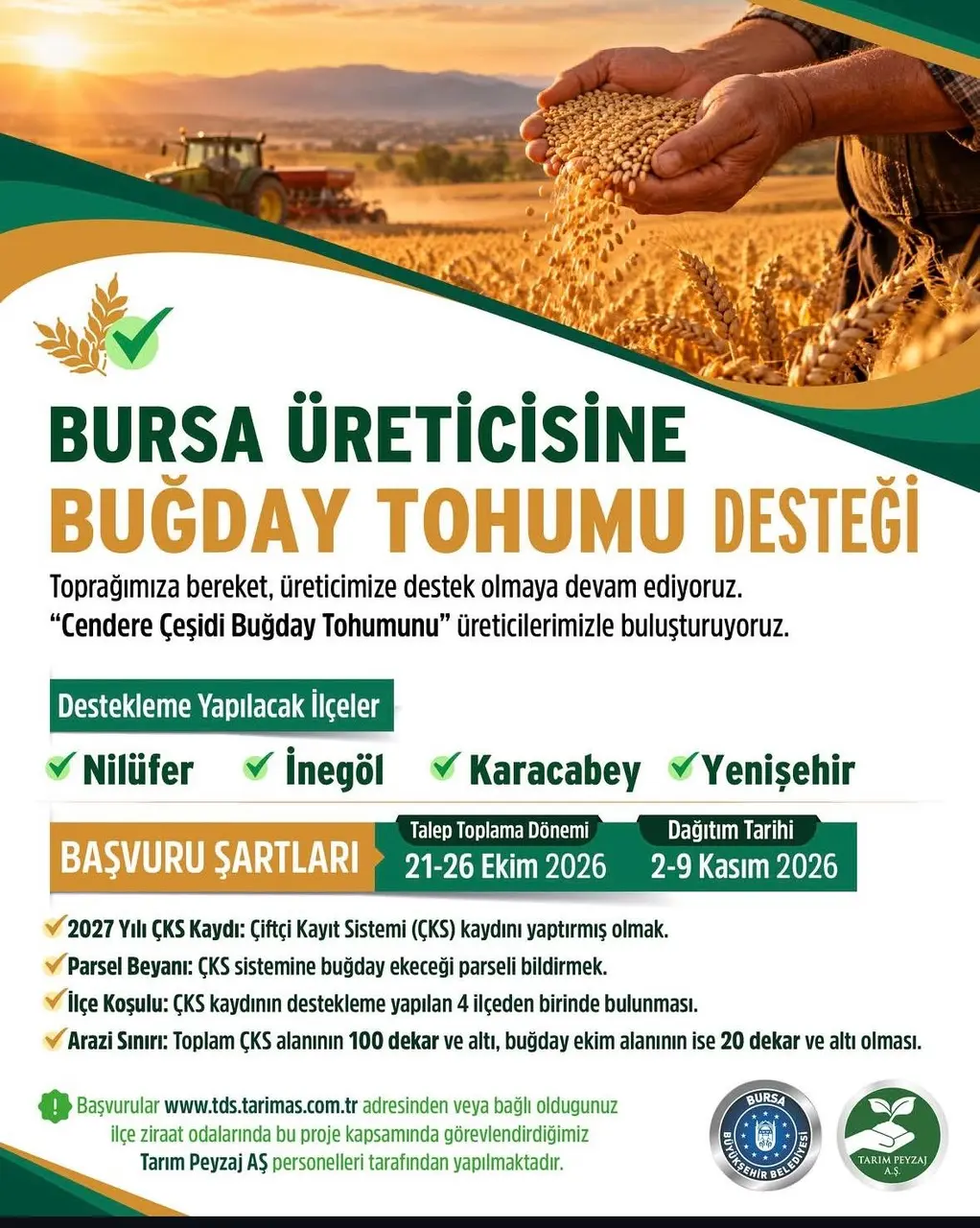 Bursa Büyükşehirden "cendere buğdayı" tohumu desteği