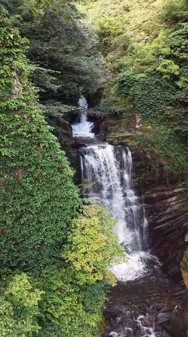 Giresun’daki Siğlen Şelalesi saklı güzellikleriyle mest ediyor