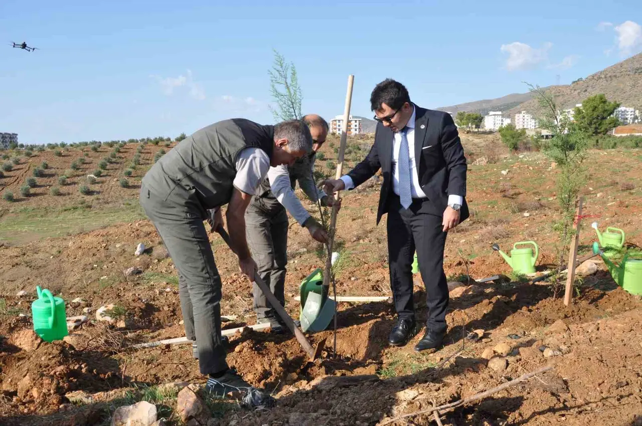Silifke’de Şehit Savcı Mehmet Selim Kiraz Hatıra Ormanı yeniden yeşilleniyor