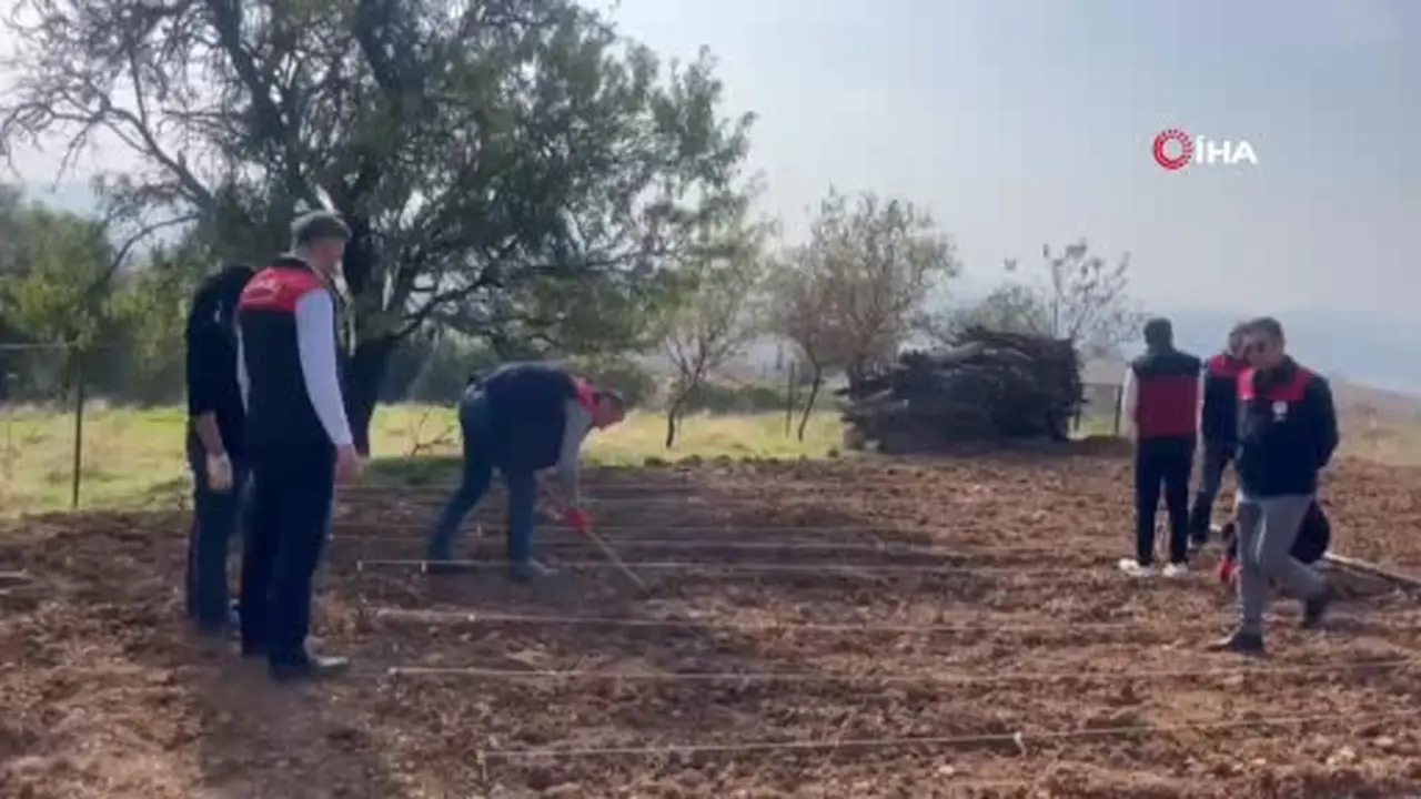 70 yaşındaki üretici Şehriban teyzenin yardımına tarım ekipleri yetişti