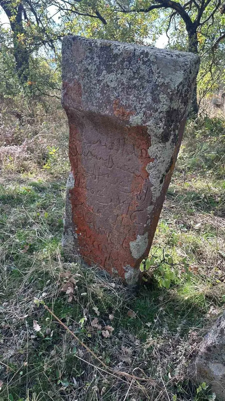 Güroymak’ta tarihî alanlarda inceleme yapıldı
