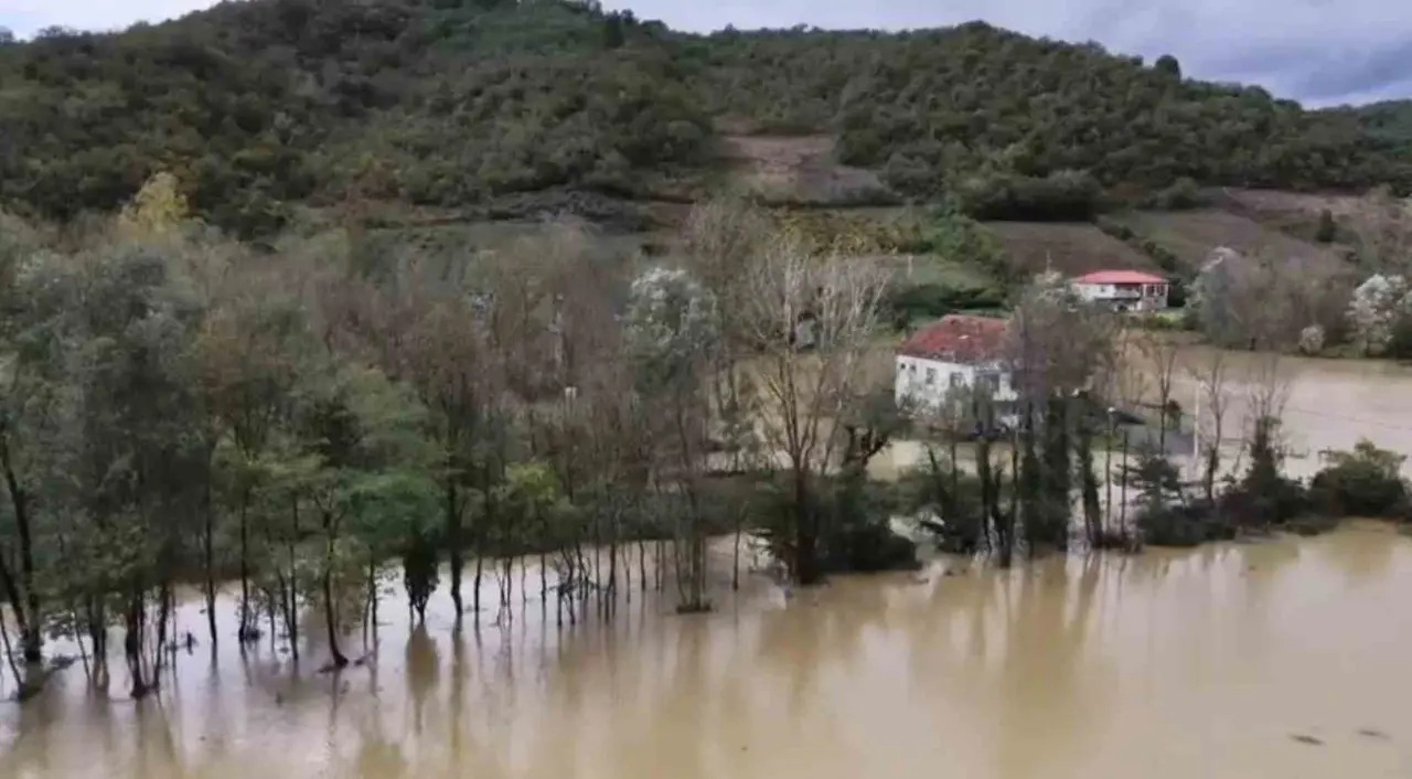 Zonguldak’ta selin boyutu böyle görüntülendi