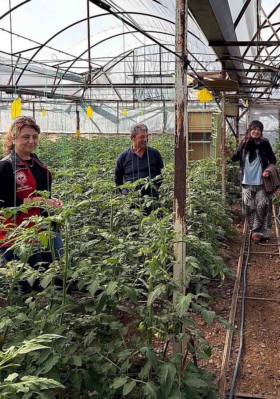Dalaman’da sera kontrolleri sürüyor