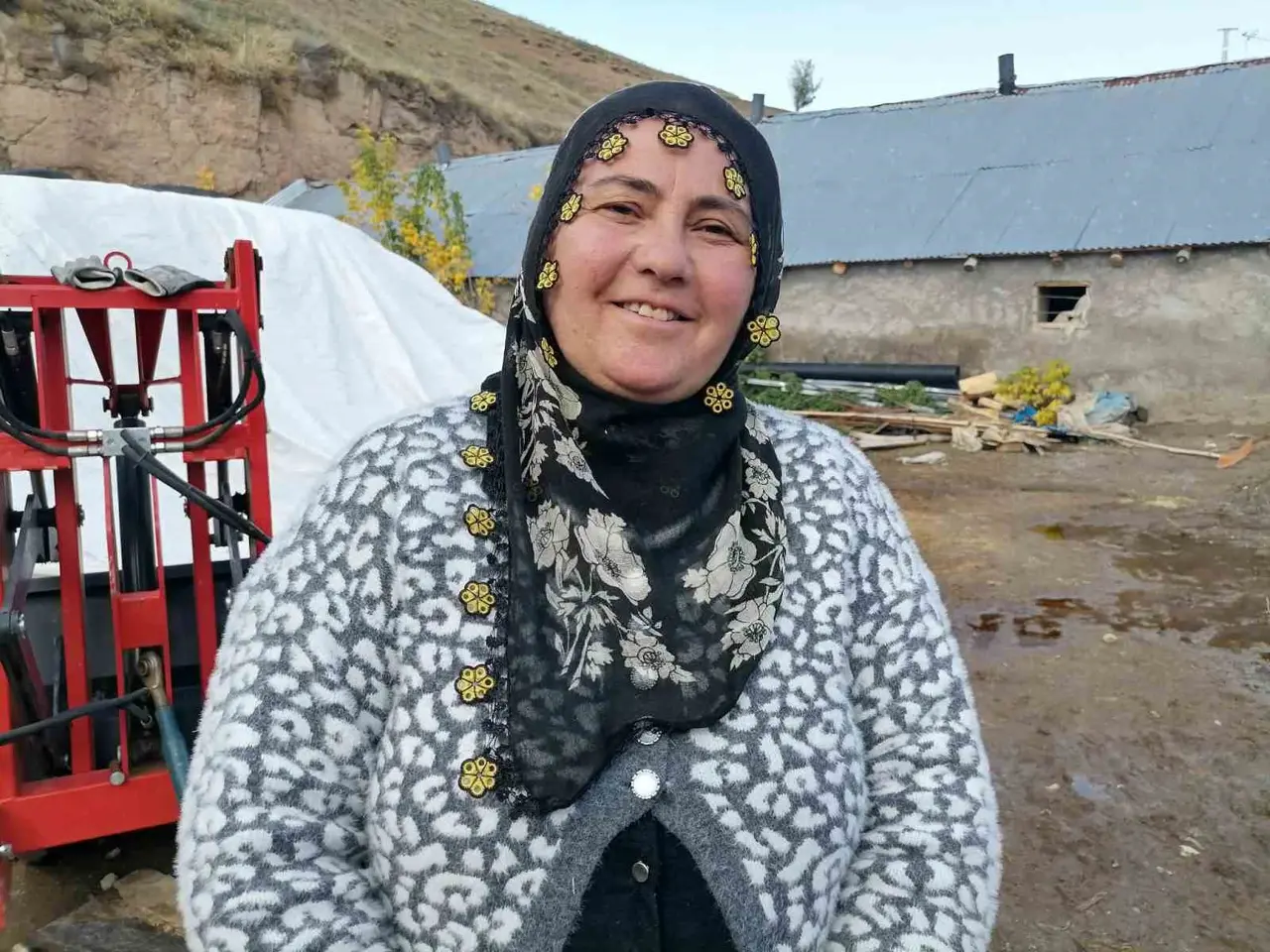 Erzurum’un Hınıs ilçesinde "kırsalda bereket" projesi ile ilk buzağılar doğdu