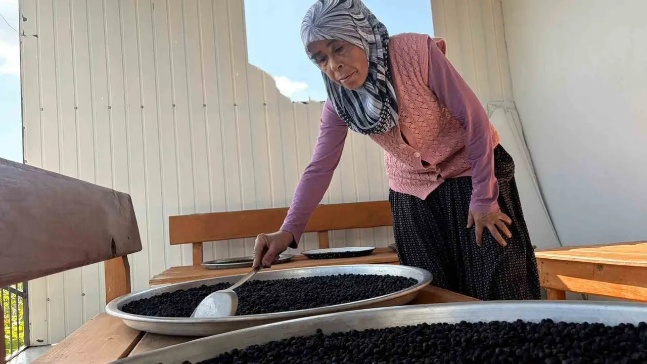 Osmaniye’de oğlunun tavsiyesiyle aronya yetiştirdi, reçelini 400 liradan satıyor
