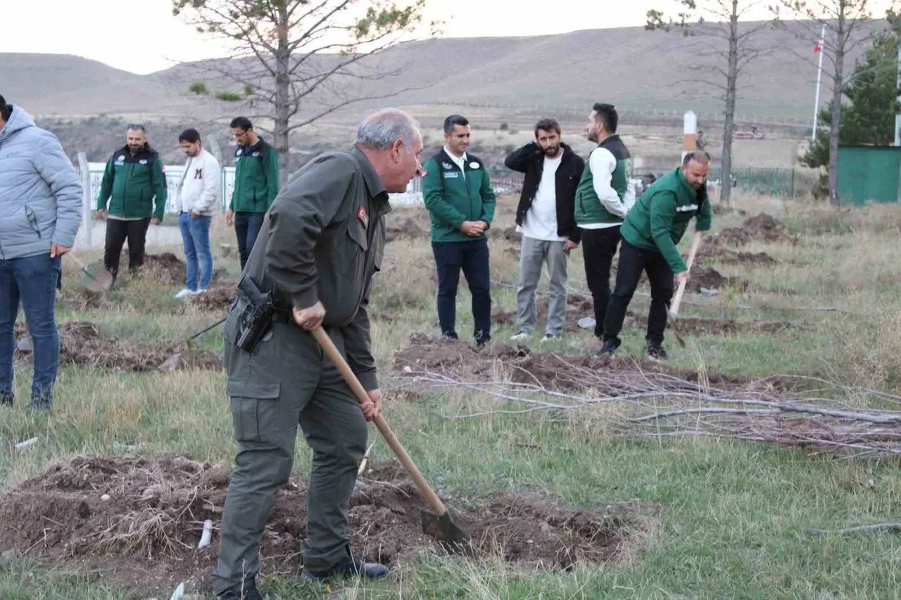 DSİ ve orman teşkilatından ‘Yeşil Vatan’ için güç birliği: İlk fidanlar toprakla buluştu