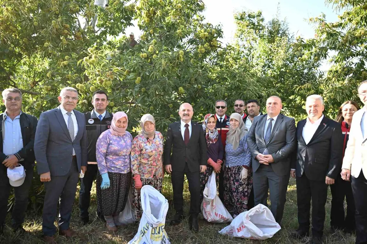 Aydın’da 5 bin 629 kestane üreticisi hasat heyecanı yaşıyor