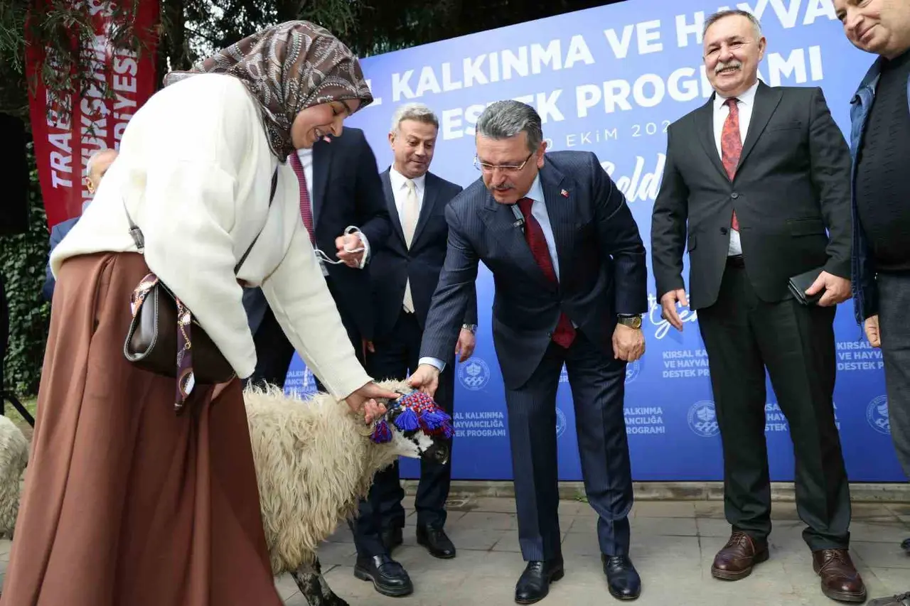 Trabzon’da hayvancılığa destek sürüyor