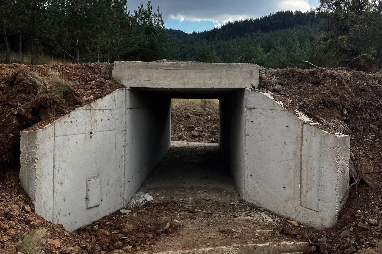 Bolu’da orman yangınlarına müdahaleyi kolaylaştıracak çalışma