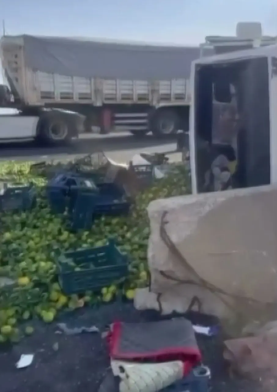 Gaziantep’te mandalina yüklü kamyon devrildi