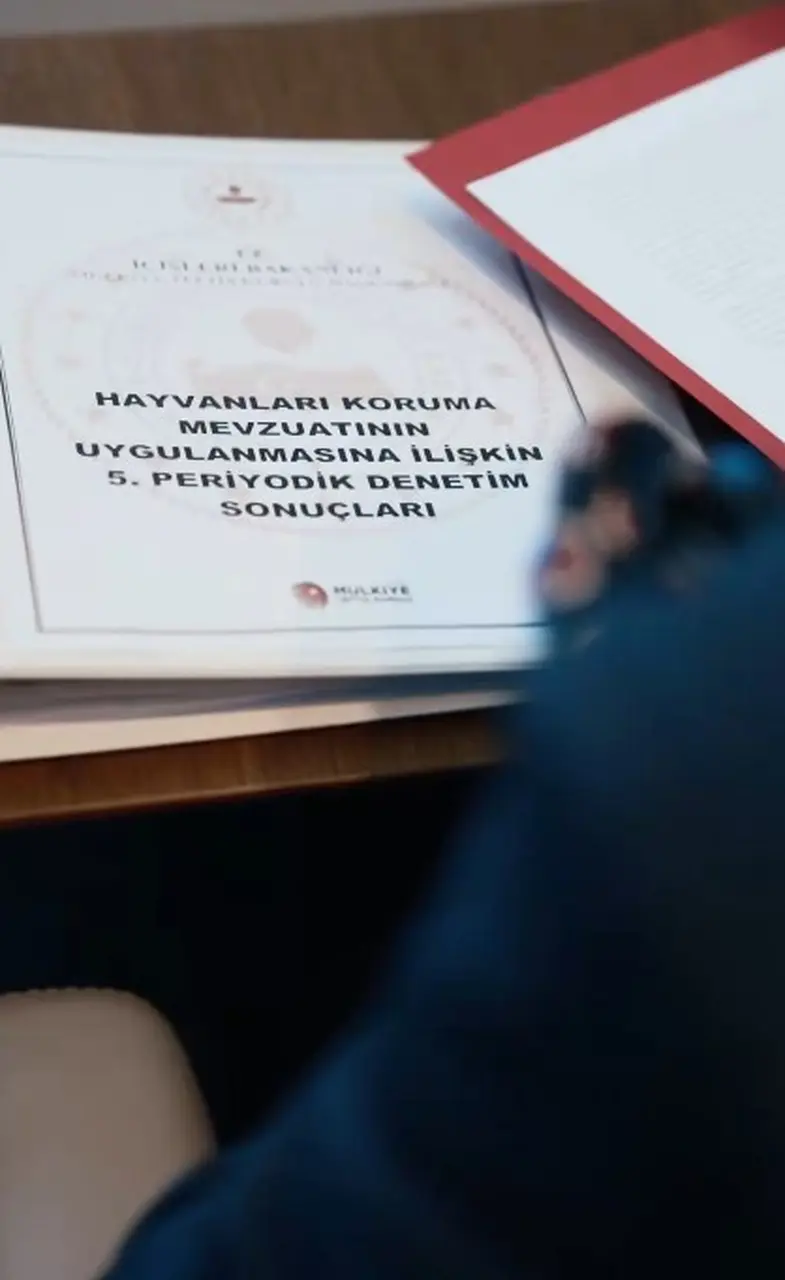 Bakan Çiftçi: "Vatandaşımızın güvenliğini korurken sahipsiz hayvanlarımızın bakımını ve refahını da gözeteceğiz"