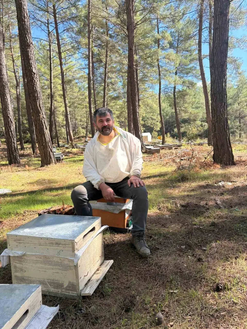 Tecrübeli arıcıdan bal tavsiyeleri: "Mevzuata uygun her bal, en kaliteli bal değildir"
