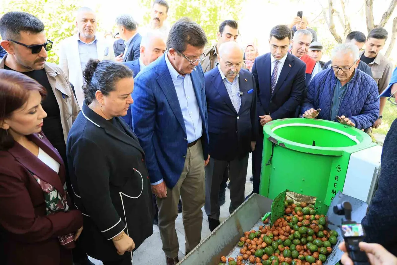 Çameli ceviz üretiminde Türkiye’de ilk sırayı hedefliyor