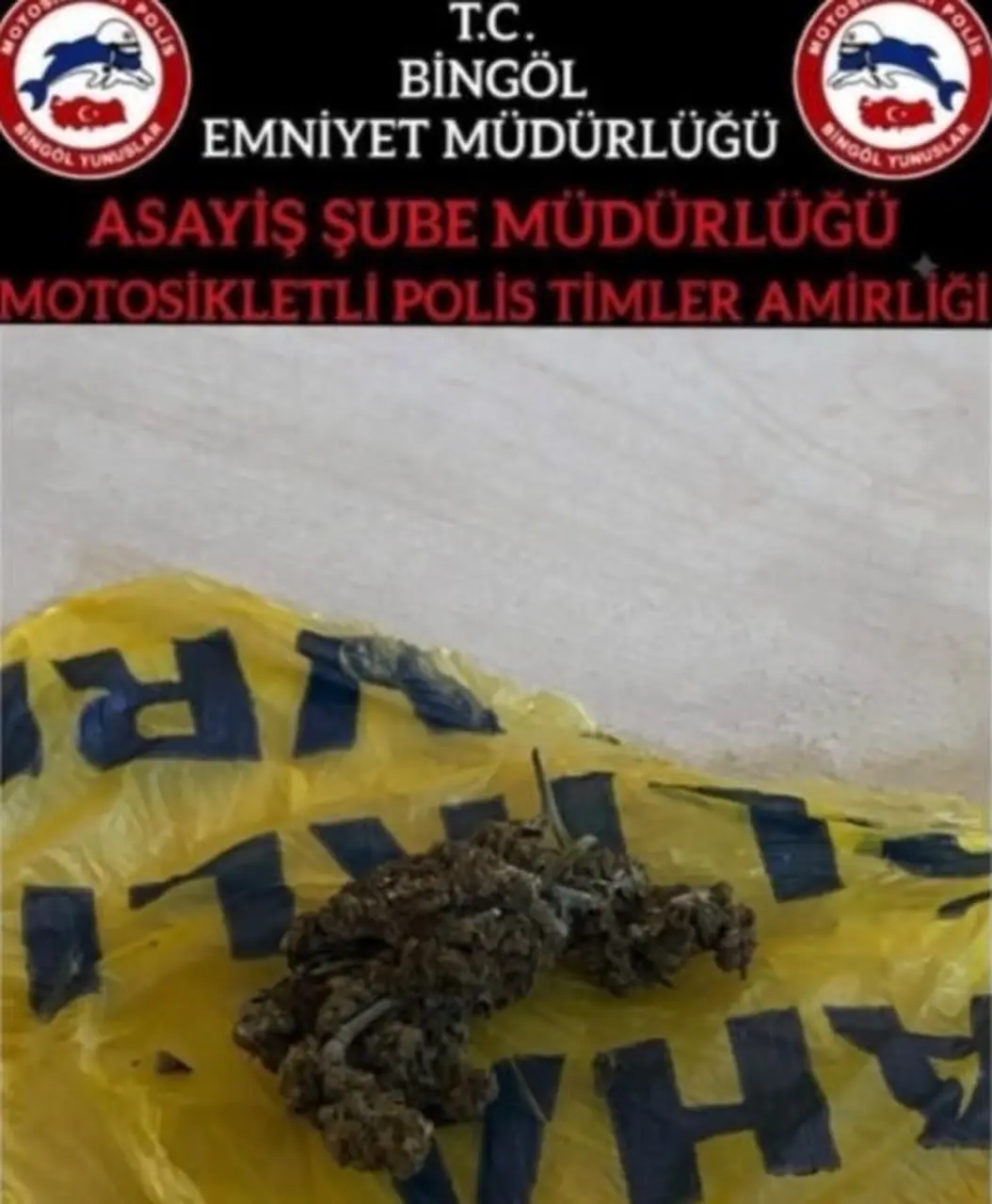 Bingöl’de bir haftada 29 şüpheli yakalandı